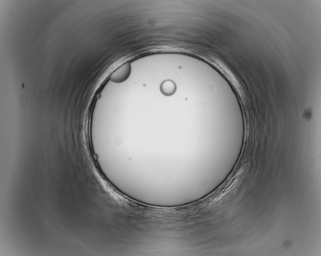 X0000101100909200806261041