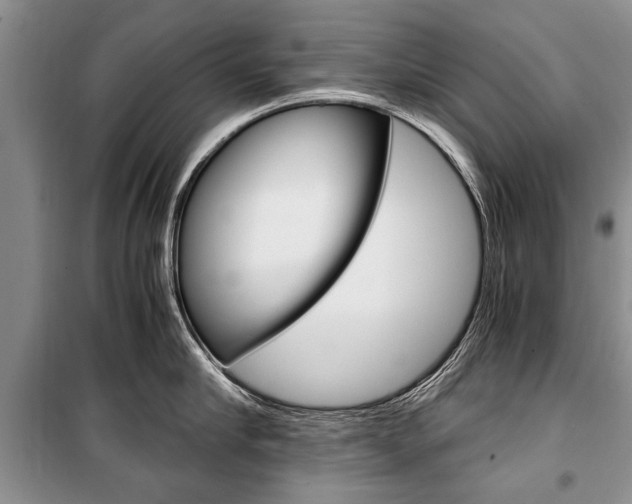 X0000101100910200806261041