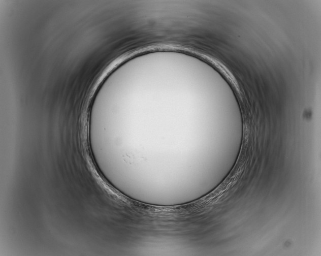 X0000101100911200806261041