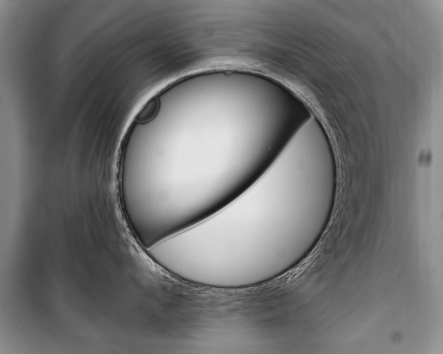 X0000101100912200806261041