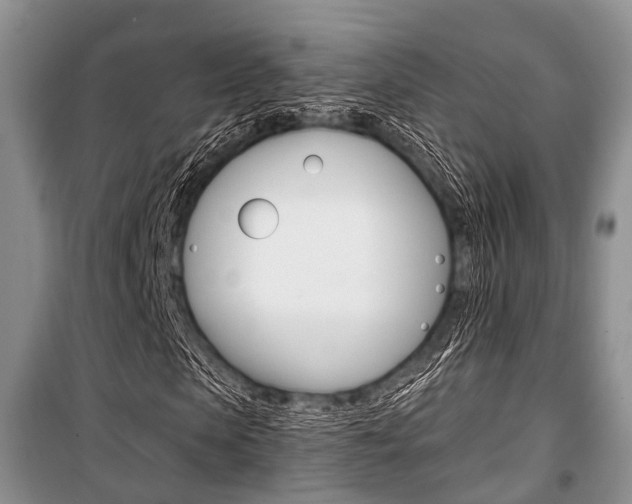 X0000101100913200806261040
