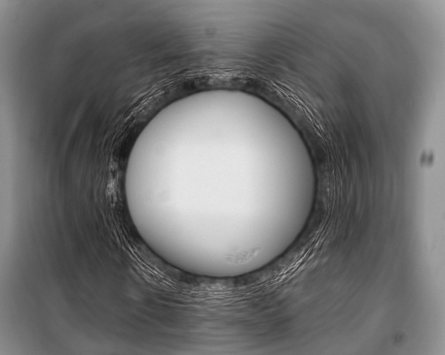 X0000101100914200806261040