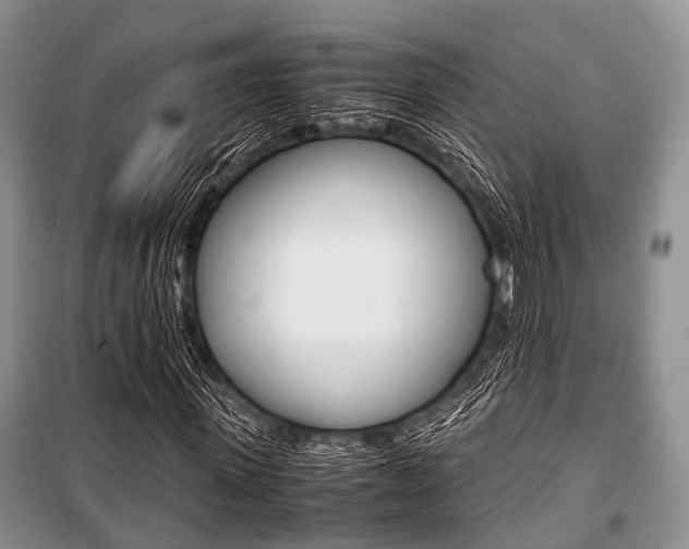 X0000101100915200806261040
