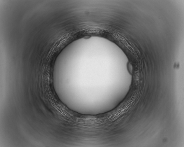 X0000101100916200806261040