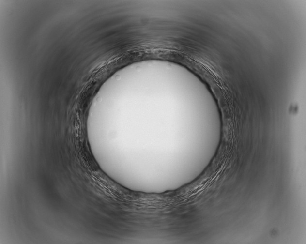 X0000101100917200806261040