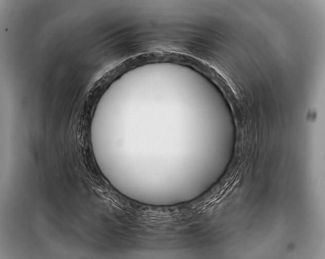 X0000101100919200806261040