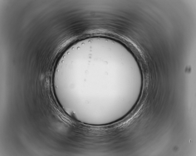 X0000101100921200806261040