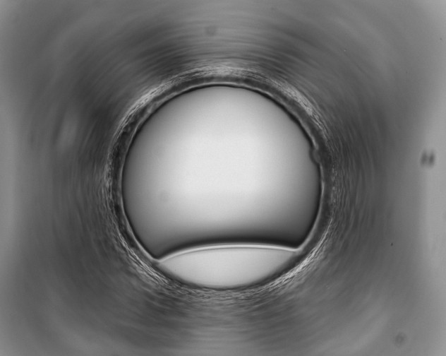 X0000101100922200806261040