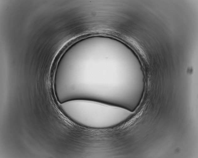 X0000101100924200806261040