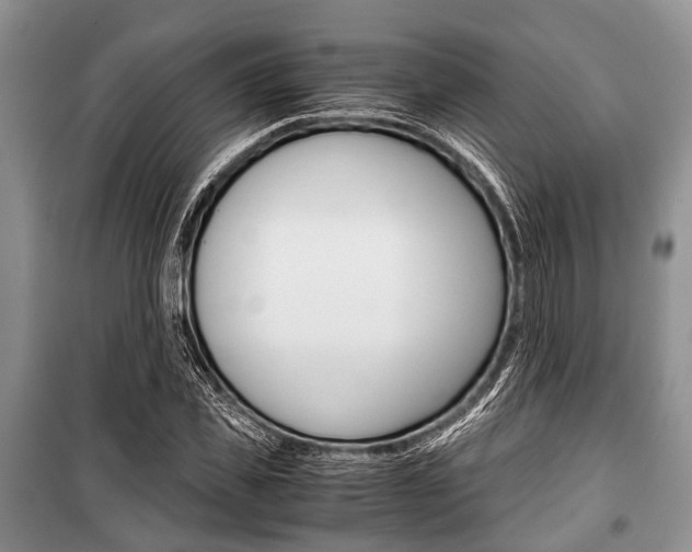 X0000101100925200806261040