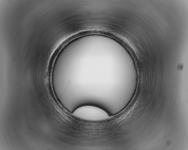 X0000101100927200806261040
