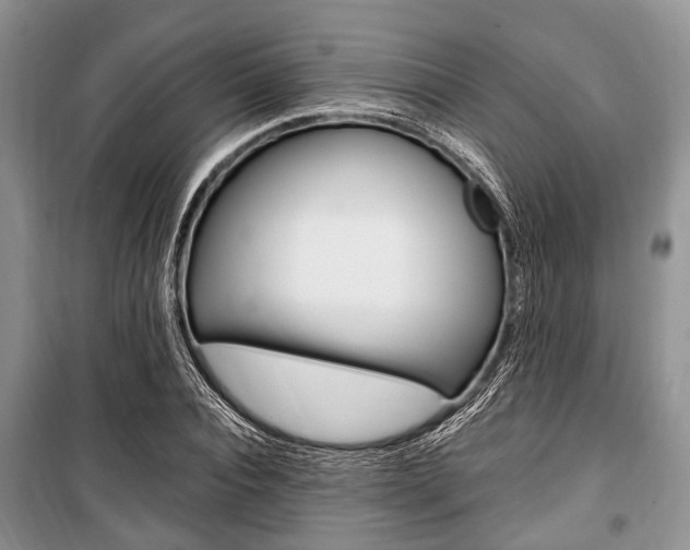 X0000101100928200806261040