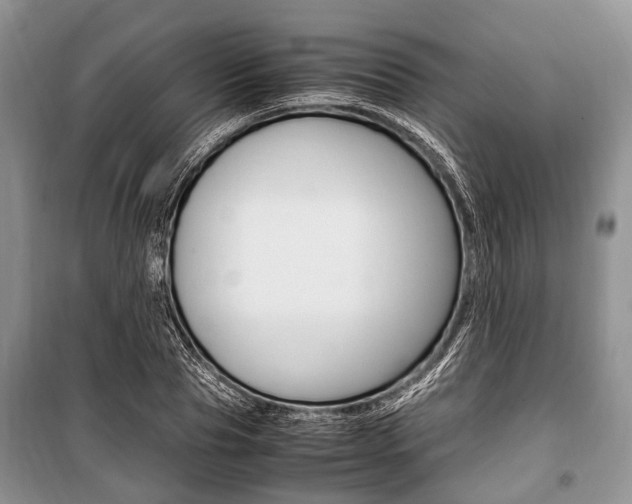 X0000101100929200806261040