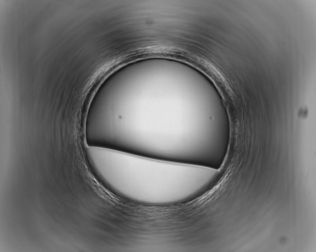 X0000101100930200806261040