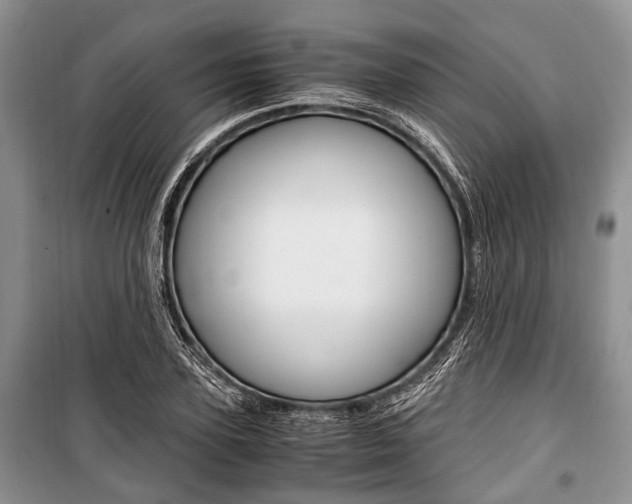 X0000101100931200806261040