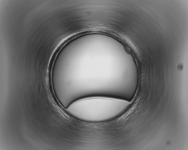 X0000101100932200806261040