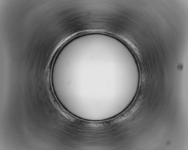 X0000101100933200806261040