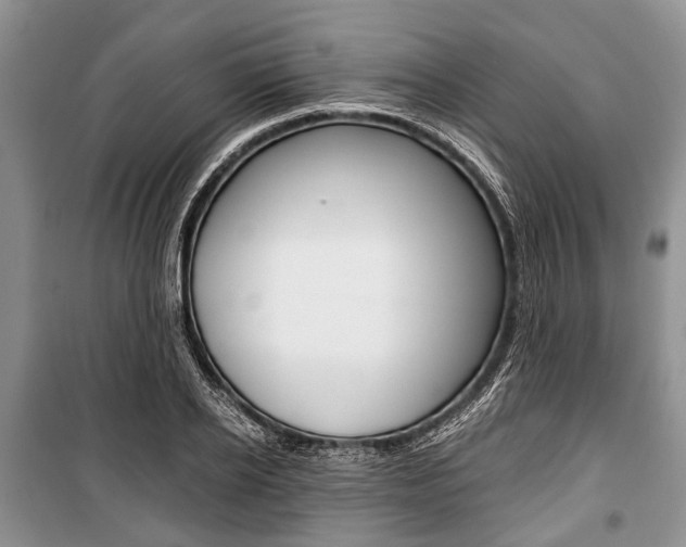 X0000101100934200806261041