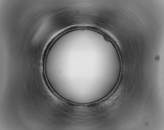 X0000101100935200806261041