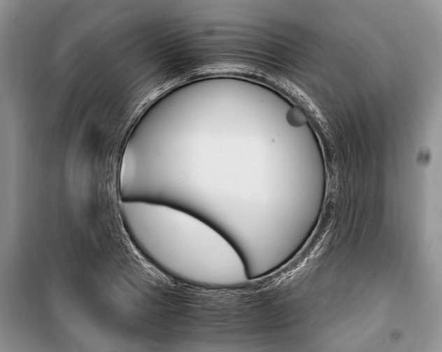 X0000101100937200806261041