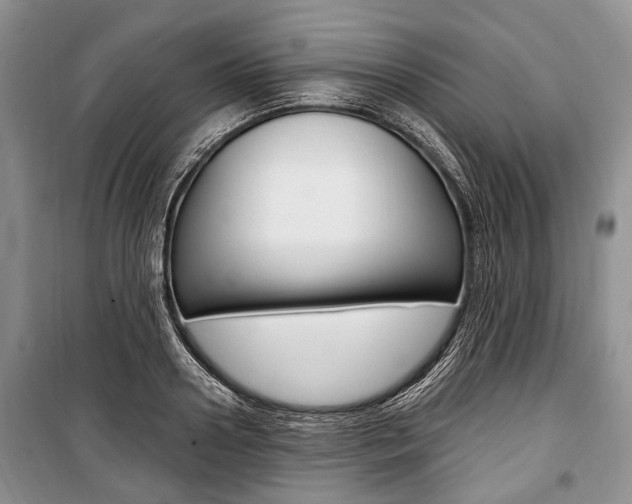 X0000101100938200806261041