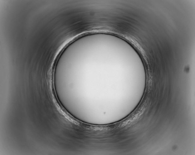 X0000101100941200806261041