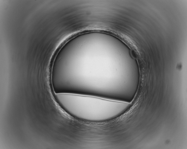 X0000101100942200806261041