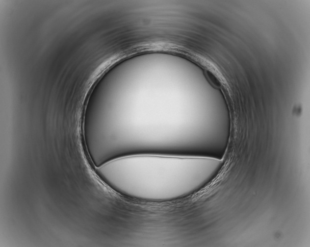 X0000101100946200806261041