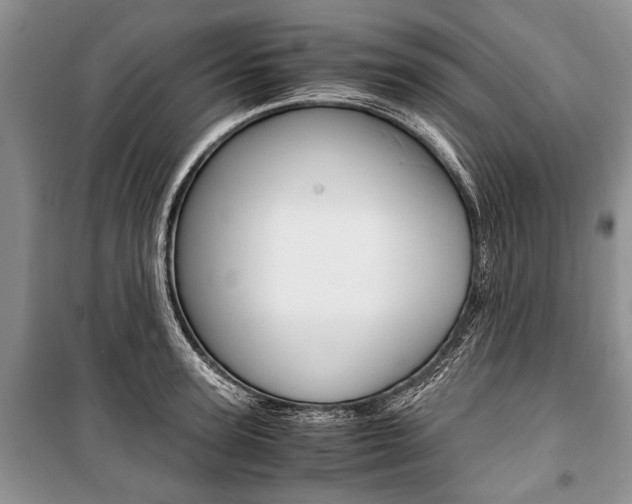 X0000101100947200806261041