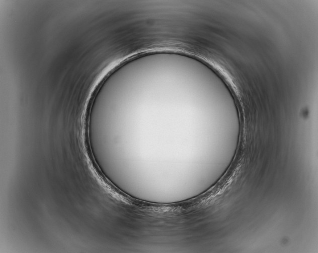 X0000101100949200806261041