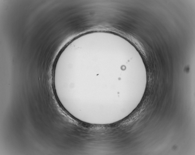 X0000101100950200806261041