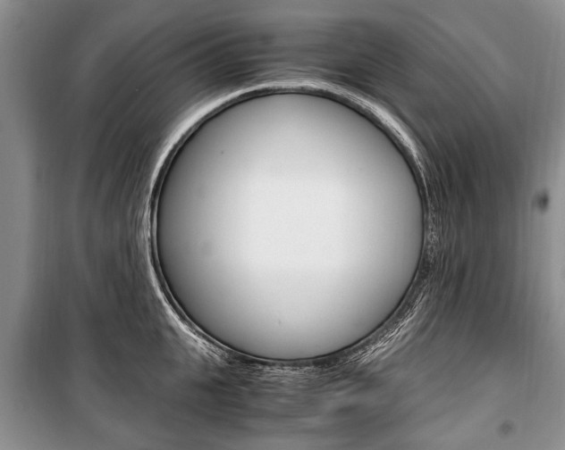 X0000101100951200806261041