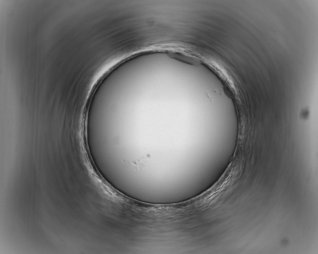 X0000101100952200806261041