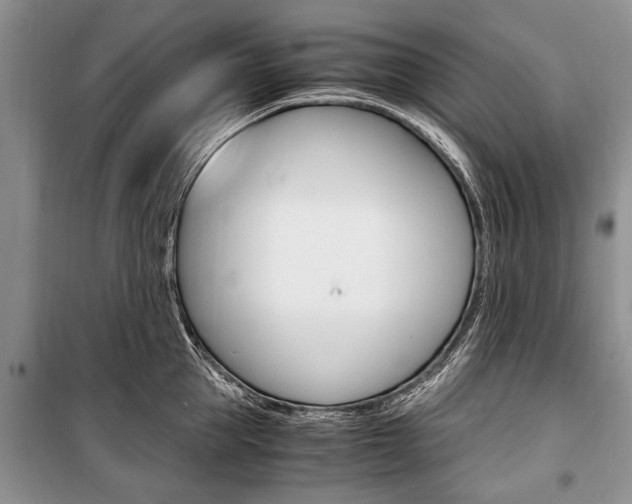 X0000101100953200806261041