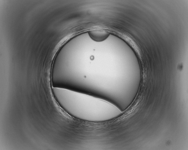 X0000101100954200806261041
