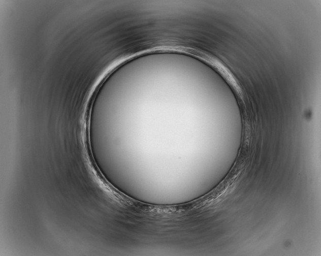 X0000101100955200806261041