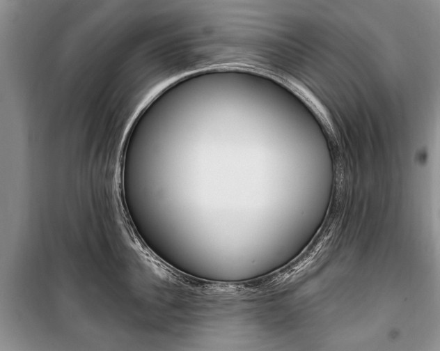 X0000101100956200806261041