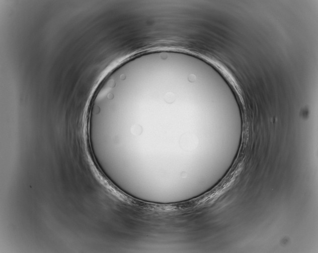 X0000101100957200806261041