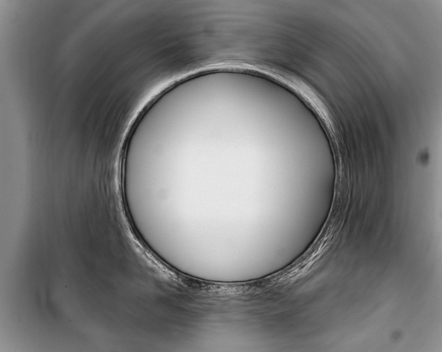 X0000101100958200806261041