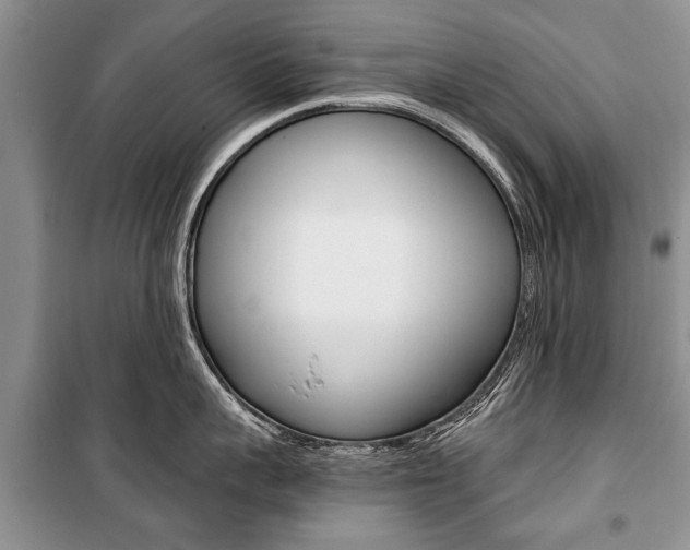 X0000101100959200806261041