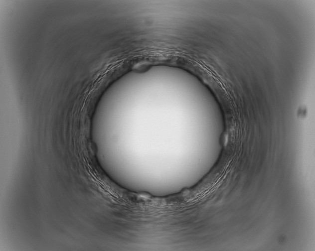 X0000101100961200806261040