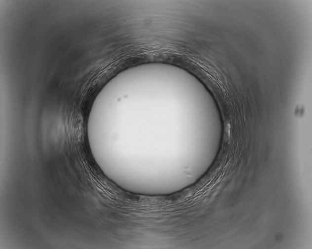 X0000101100963200806261040