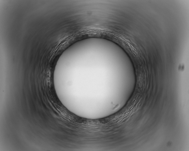 X0000101100964200806261040