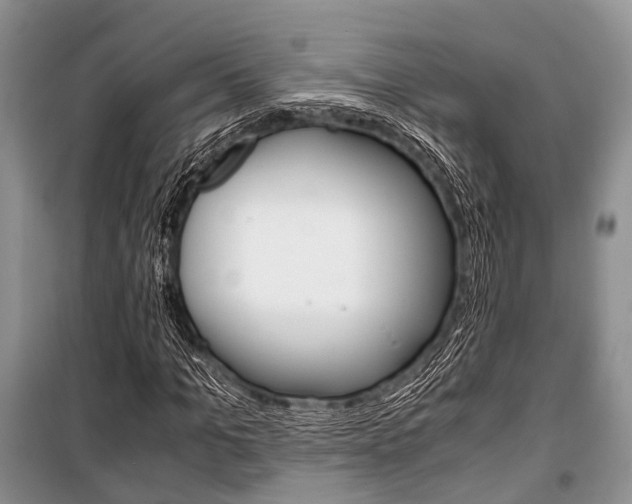 X0000101100965200806261040