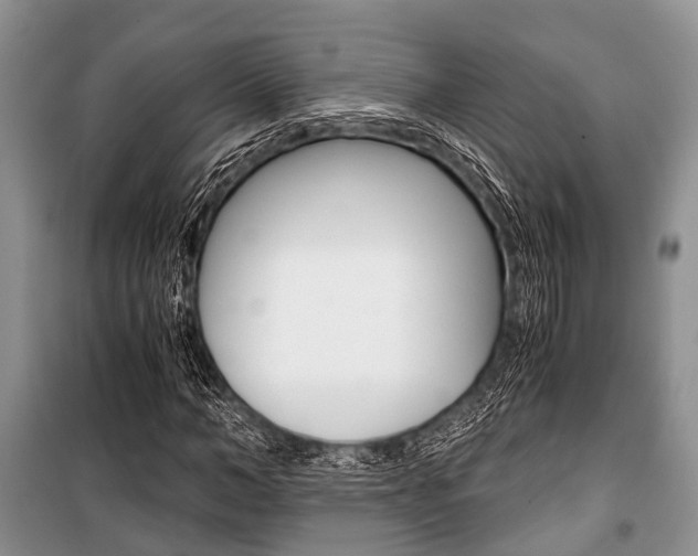 X0000101100966200806261040