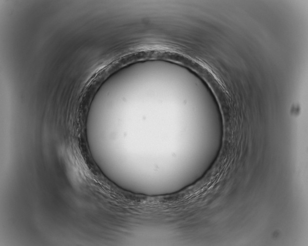 X0000101100967200806261040
