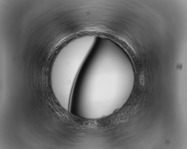 X0000101100968200806261040