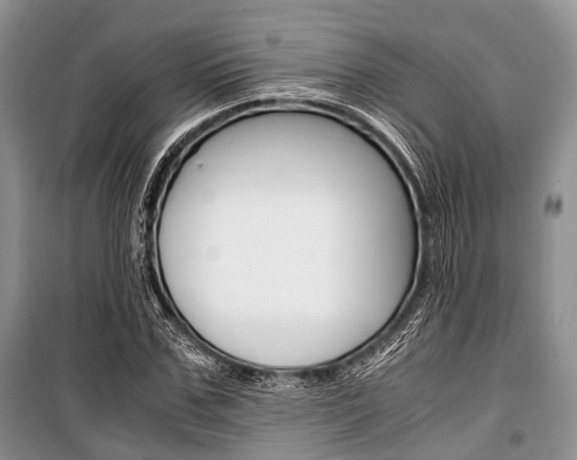 X0000101100971200806261040