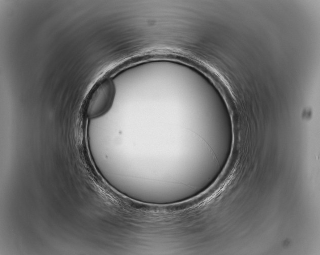 X0000101100973200806261040