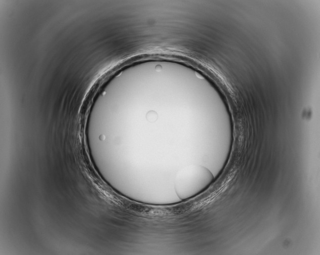 X0000101100974200806261040